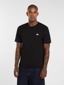 T-shirt logo basica Mapleton Dickies