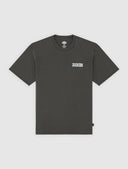 T-shirt con stampa BUCHTELL Dickies