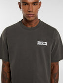 T-shirt con stampa BUCHTELL Dickies