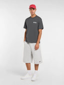 T-shirt con stampa WOLFHURST Dickies