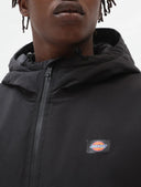 Giacca New Sarpy Dickies