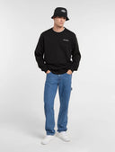 Jeans Regular Tapered Carpenter 993 Dickies