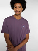T-shirt logo basica Mapleton Dickies