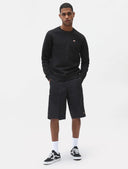 Felpa girocollo Oakport Dickies
