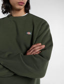 Felpa girocollo Oakport Dickies