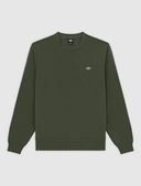 Felpa girocollo Oakport Dickies