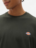 T-shirt logo basica Mapleton Dickies