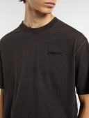 T-shirt plantywood Dickies