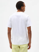 T-shirt logo basica Mapleton Dickies
